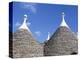 Old Trulli Houses with Stone Domed Roof, Alberobello, Unesco World Heritage Site, Puglia, Italy-R H Productions-Premier Image Canvas