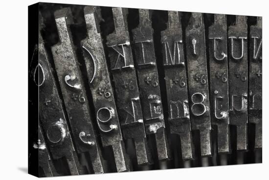 Old Typewriter Type-Steve Collender-Stretched Canvas