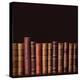 Old Vintage Books Standing in a Row-egal-Premier Image Canvas