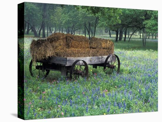 Old Wagon and Wildflowers, Devine, Texas, USA-Darrell Gulin-Premier Image Canvas