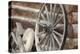 Old Wagon Wheel, Fort Steele, British Columbia, Canada-Jaynes Gallery-Premier Image Canvas