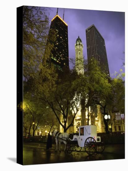 Old Water Tower, Chicago, Illinois, USA-null-Premier Image Canvas