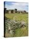 Old Western Wagons from the Pioneering Days of the Wild West at Cody, Montana, USA-Neale Clarke-Premier Image Canvas