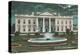 Old White House Illustration-null-Stretched Canvas