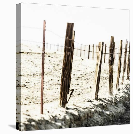Old Wire Barbed Wire Fencing In The Afternoon Sun Along Panoche Road In San Benito County-Ron Koeberer-Stretched Canvas