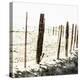 Old Wire Barbed Wire Fencing In The Afternoon Sun Along Panoche Road In San Benito County-Ron Koeberer-Stretched Canvas