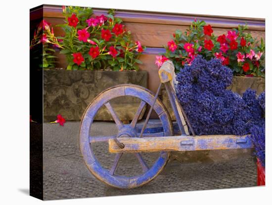 Old Wooden Cart with Fresh-Cut Lavender, Sault, Provence, France-Jim Zuckerman-Premier Image Canvas