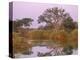 Olifants River, Kruger National Park, South Africa, Africa-Patrick Dieudonne-Premier Image Canvas