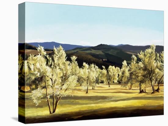 Olive Grove at the Villa-Helen J. Vaughn-Premier Image Canvas