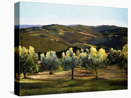 Olive Grove in Italy-Helen J. Vaughn-Premier Image Canvas