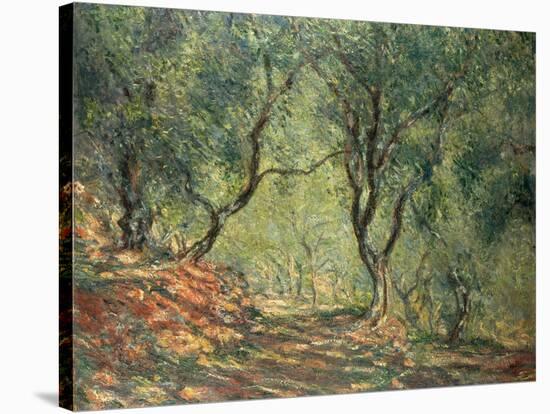 Olive Grove in the Moreno Garden, 1884-Claude Monet-Premier Image Canvas