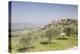 Olive grove near to Trevi in the Val di Spoleto, Umbria, Italy, Europe-Julian Elliott-Premier Image Canvas