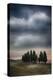 Olive Groves and Vineyards of the Monticiano Area-Terry Eggers-Premier Image Canvas