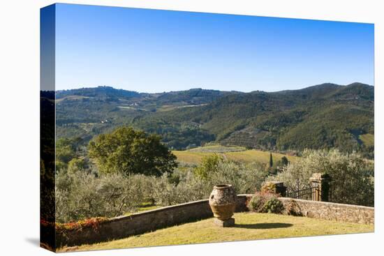 Olive Groves, Greve in Chianti, Chianti, Florence Province, Tuscany, Italy-Nico Tondini-Premier Image Canvas
