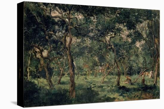 Olive Orchard, Early 1870S-Charles François Daubigny-Premier Image Canvas