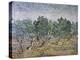 Olive Orchard, Violet Soil-Vincent van Gogh-Premier Image Canvas