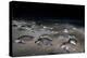 Olive ridley turtles coming ashore at dawn to lay eggs, Mexico-Tui De Roy-Premier Image Canvas