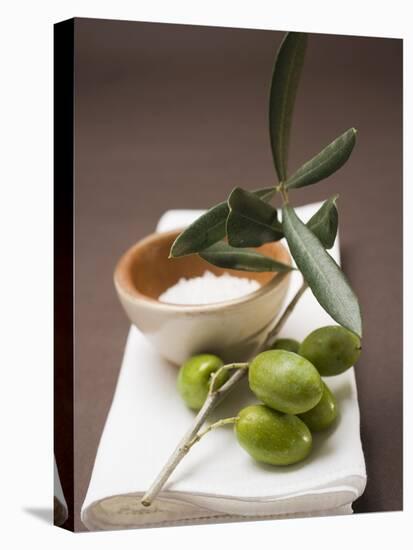 Olive Sprig with Green Olives, Sea Salt in Terracotta Bowl-null-Premier Image Canvas