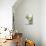 Olive Sprig with Green Olives-Brigitte Sporrer-Premier Image Canvas displayed on a wall