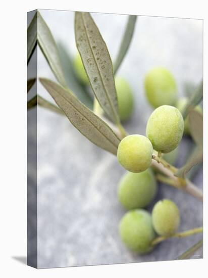Olive Sprig with Green Olives-Brigitte Sporrer-Premier Image Canvas