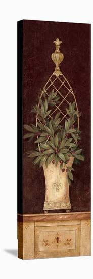 Olive Topiary I-Pamela Gladding-Stretched Canvas