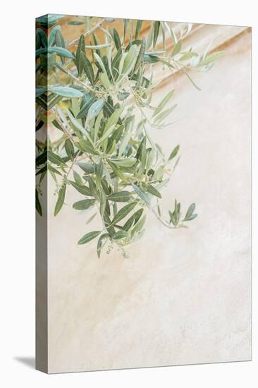 Olive Tree Leaves-Henrike Schenk-Premier Image Canvas