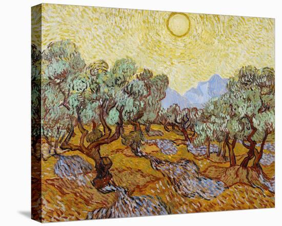 Olive Trees, 1889-Vincent van Gogh-Stretched Canvas