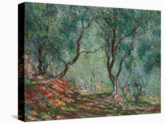 Olive Trees in the Moreno Garden, 1884-Claude Monet-Premier Image Canvas