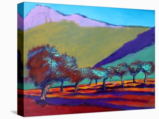 Olive Trees-Paul Powis-Premier Image Canvas