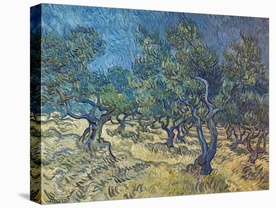 Olivenbaeume (Les Oiliviers), 1889-Vincent van Gogh-Premier Image Canvas