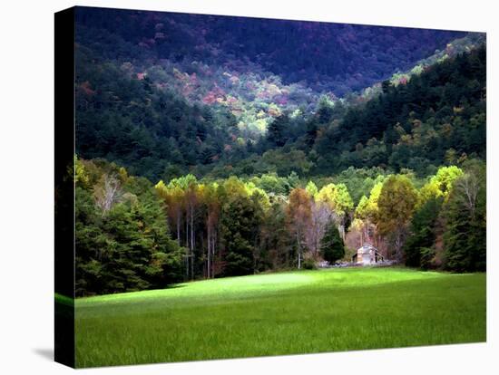 Oliver Cabin GSMNP, TN-J.D. Mcfarlan-Premier Image Canvas