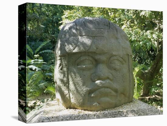 Olmec Stone Head at Parque-Museo La Venta, Villahermosa, Tabasco, Mexico, North America-Richard Nebesky-Premier Image Canvas