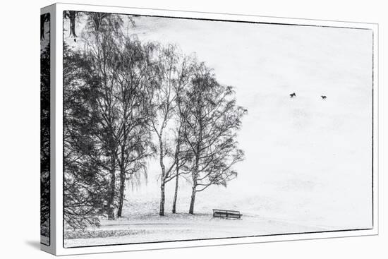 Olympia park in winter, Munich, Bavaria, Germany-Panoramic Images-Premier Image Canvas