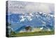 Olympic National Park - Deer and Hurricane Ridge-Lantern Press-Stretched Canvas