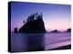 Olympic National Park Washington State Usa-Peter Adams-Premier Image Canvas