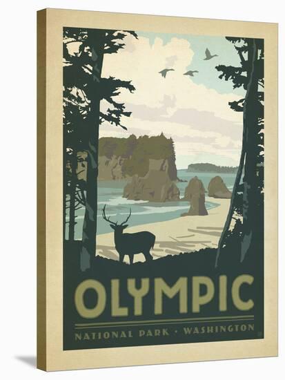 Olympic National Park, Washington-Anderson Design Group-Stretched Canvas