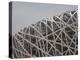 Olympic Stadium Called the Bird's Nest, Beijing, China-Angelo Cavalli-Premier Image Canvas