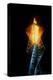 Olympic torch at night during the 2002 Winter Olympics, Salt Lake City, UT-null-Premier Image Canvas