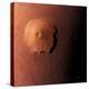 Olympus Mons, Morning View-Detlev Van Ravenswaay-Premier Image Canvas