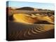 Oman, Empty Quarter; the Martian-Like Landscape of the Empty Quarter Dunes;-Niels Van Gijn-Premier Image Canvas