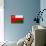 Oman Flag Design with Wood Patterning - Flags of the World Series-Philippe Hugonnard-Stretched Canvas displayed on a wall