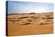 Oman, Wahiba Sands. Camels Belonging to Bedouins Cross Sand Dunes in Wahiba Sands.-Nigel Pavitt-Premier Image Canvas