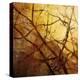 Ombre Branches-James McMasters-Stretched Canvas