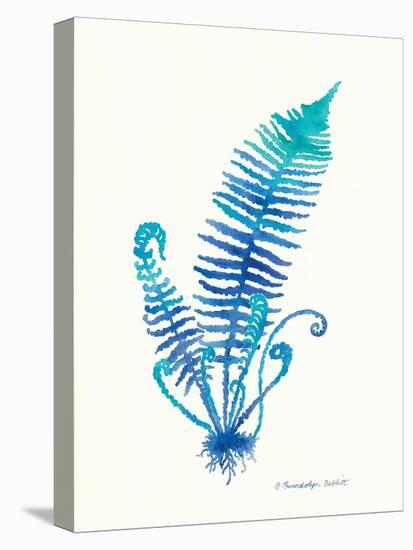 Ombre Fern II-Gwendolyn Babbitt-Stretched Canvas