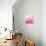 Ombre Pink Blush II-Allie Corbin-Stretched Canvas displayed on a wall