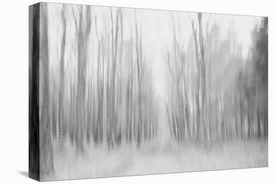 On a Gray Winter Day-Jacob Berghoef-Premier Image Canvas