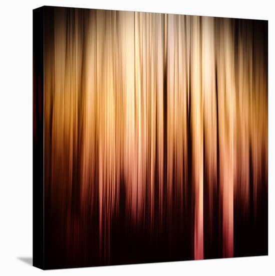 On Fire-Ursula Abresch-Premier Image Canvas