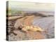On the Beach, 1910 by Anders Leonard Zorn-Anders Leonard Zorn-Premier Image Canvas