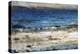 On the Beach-Tim O'toole-Premier Image Canvas