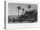 On the Coast of Florida-R Hinshelwood-Premier Image Canvas